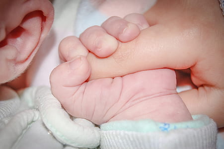 baby holding an adult's index finger closeup photo