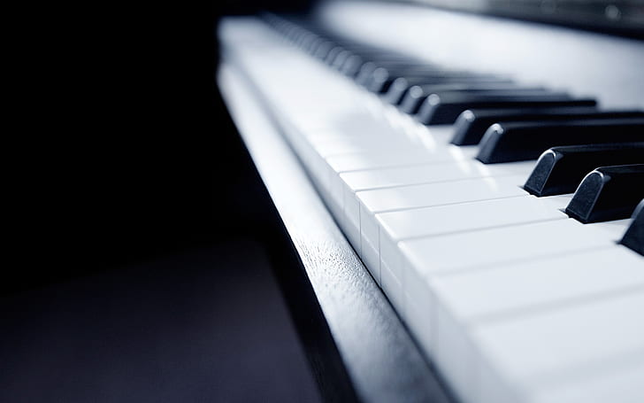 close up photo of white and black piano