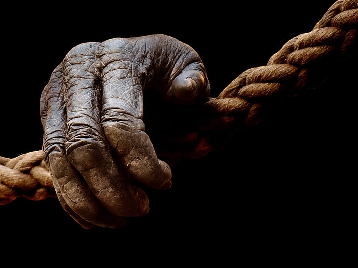 right human hand on brown rope