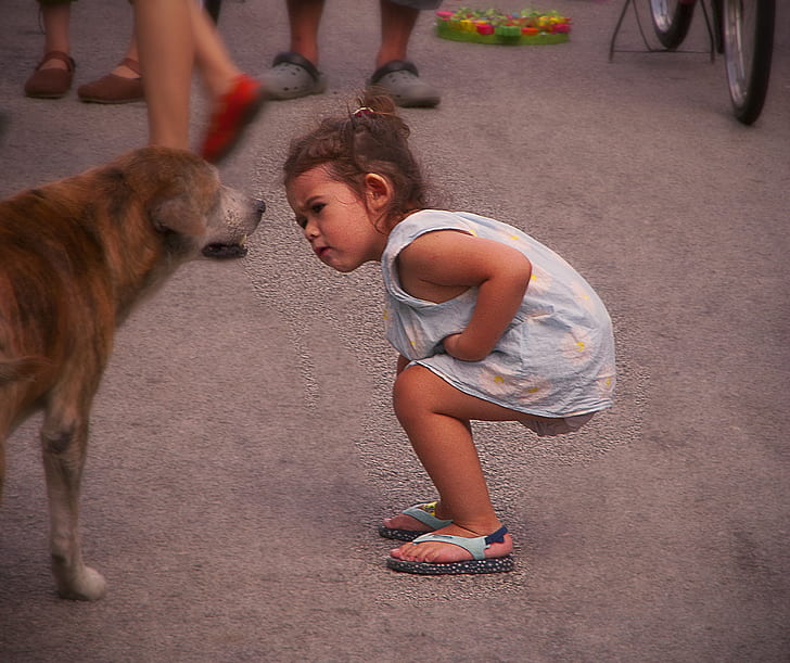 girl in blue sleeveless dress beside brown dog