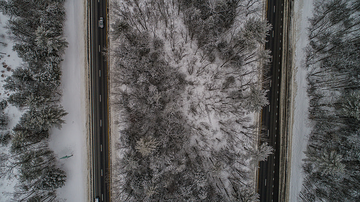 aerial photograph of a road and pine trees