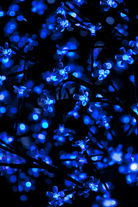 lighted blue string lights