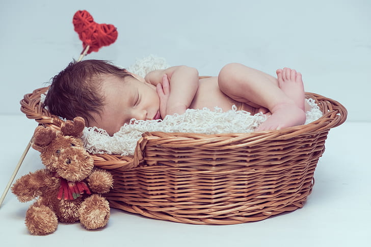 baby sleeping inside wicker bassinet beside moose plush toy