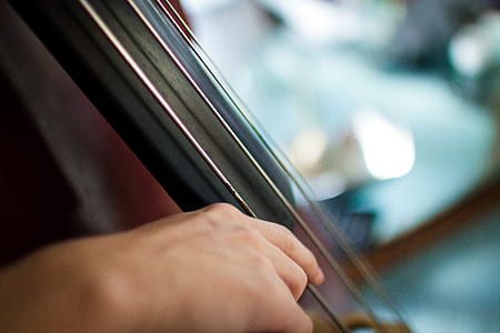 closeup photography of person playing string instrument