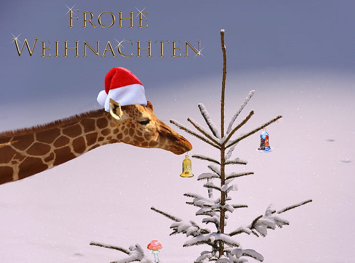 giraffe with Christmas hat illustration