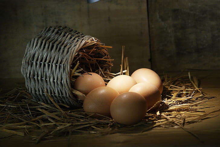 poultry eggs and basket
