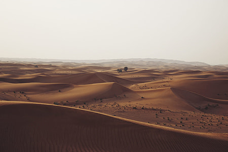 aerial photography of desert sand dunes
