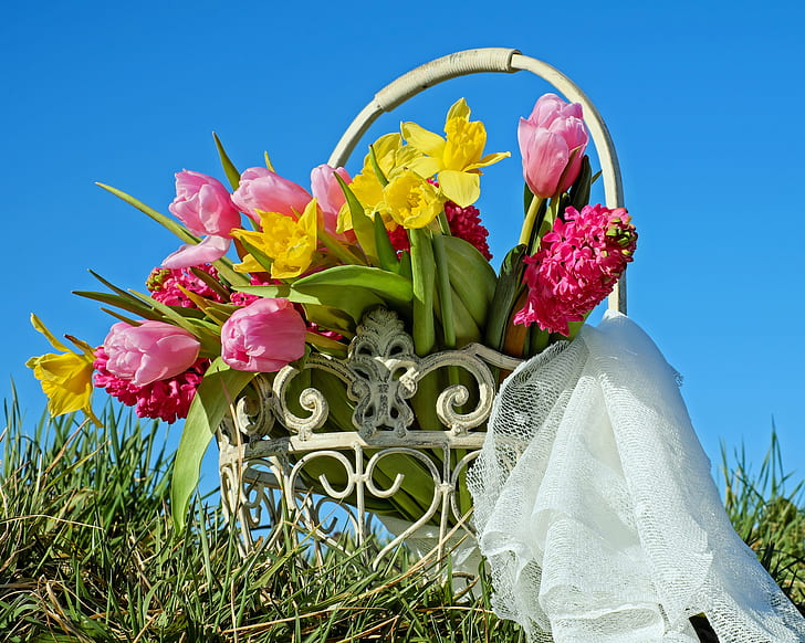 yellow daffodil, red tulips, and red hyacinth flowers with basket