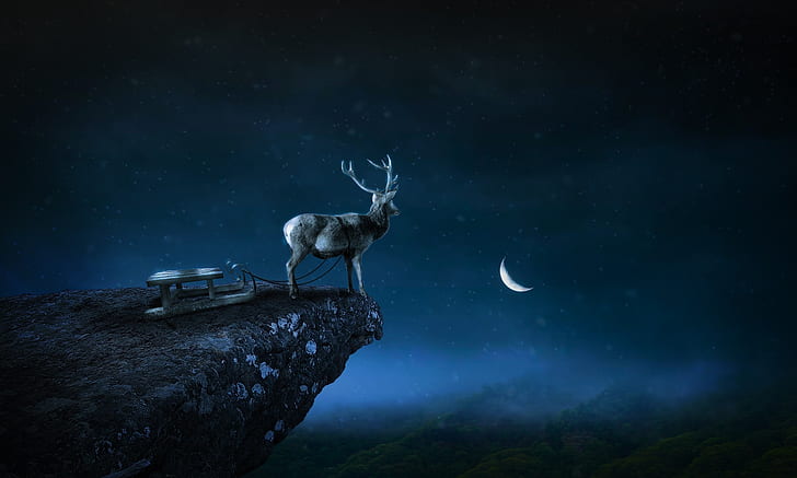 deer on top of mountain illustration