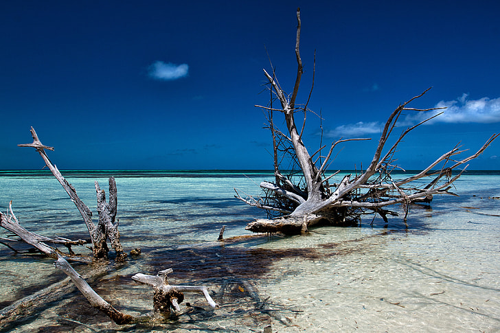Seascape shot taken on the coast of a small tropical island off Cuba in the Caribbean. Image captured with a Canon DSLR