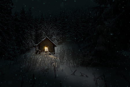 photo of brown wooden house near trees during winter