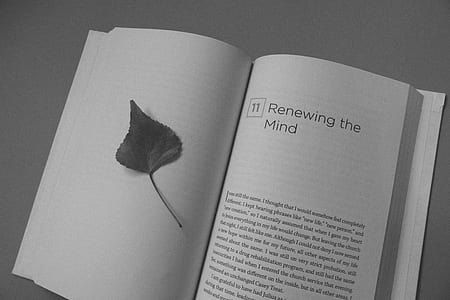 Renewing the Mind book page