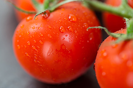 Closeup shot of fresh tomatoes