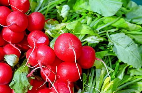 red Beetroot