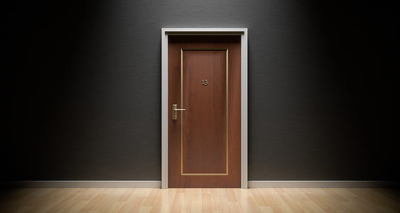 brown wooden flush door closed