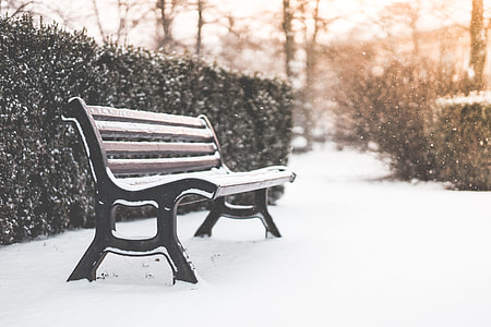 Bench in a Park and Snowy Weather