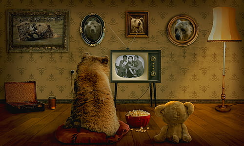 brown bear watching on black CRT TV