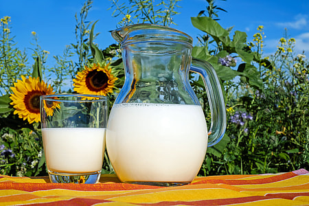 clear glass pitcher with drinking glass half-full of milk