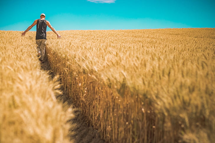 man standing on wheat field