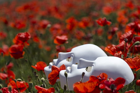 two white porcelain masks on red poppy flower field