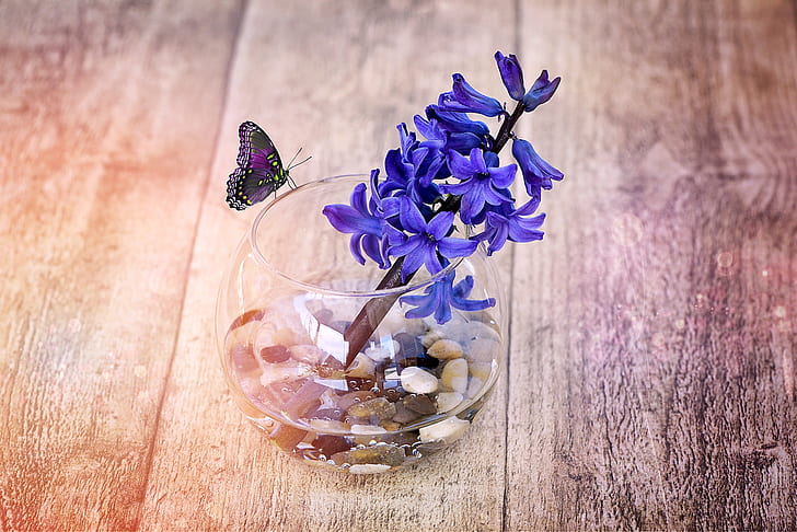 purple hyacinth flowers in clear glass fishbowl on brown wooden surface