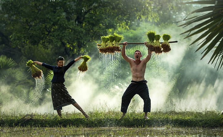 man and woman carrying green leaf plants on grass field