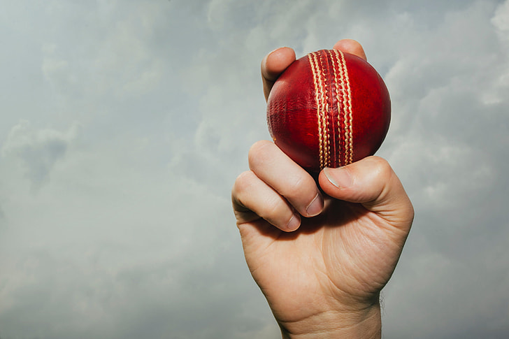 Man holding cricket ball in his hand