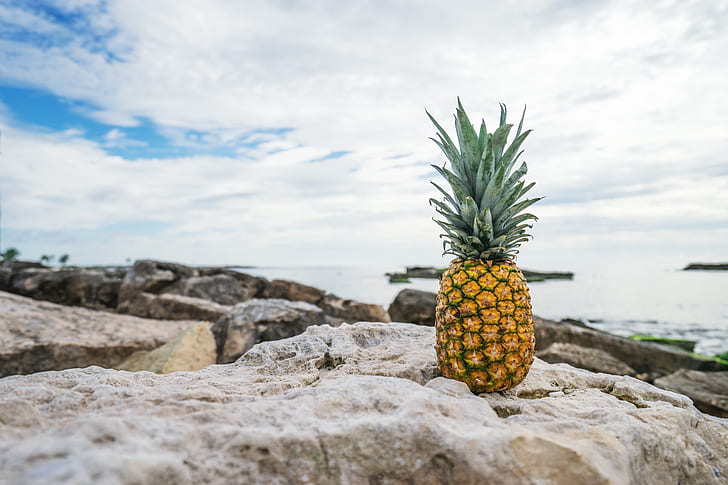 Pineapple on rock