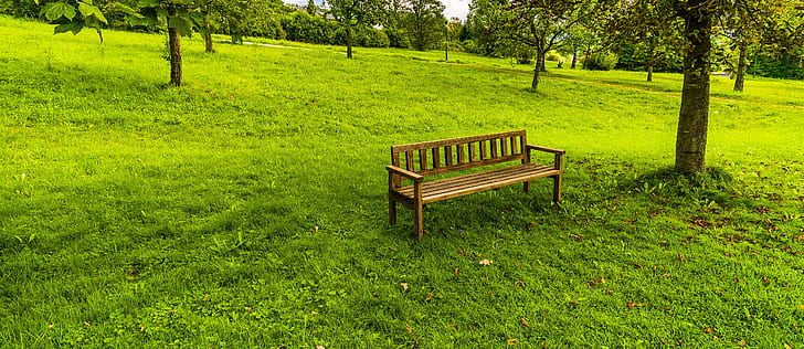 brown wooden bench on green grass lawn beside tree