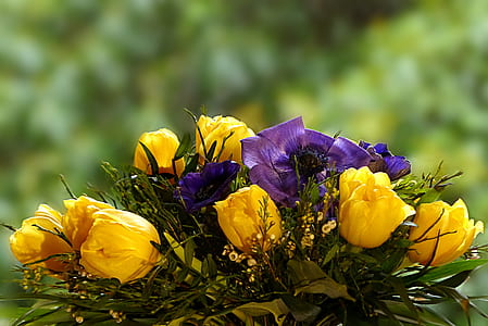 selective focus photography of bouquet of yellow petaled floers