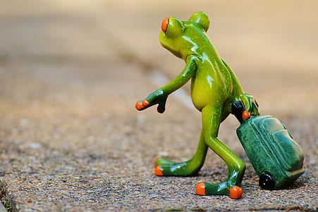 photo of tree frog holding luggage ceramic figurine