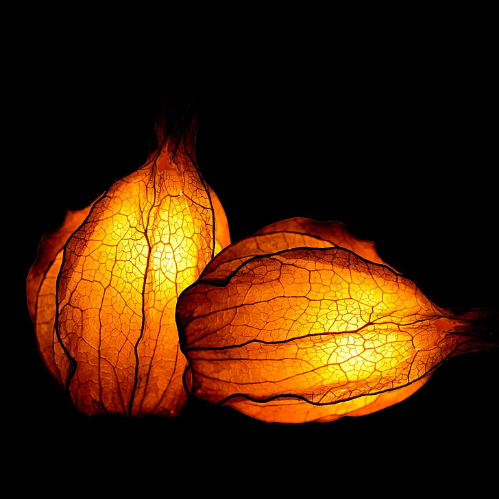 two orange leaf lamps