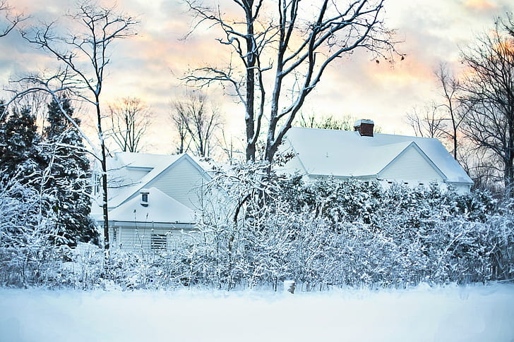 two houses covered by snow during daytime