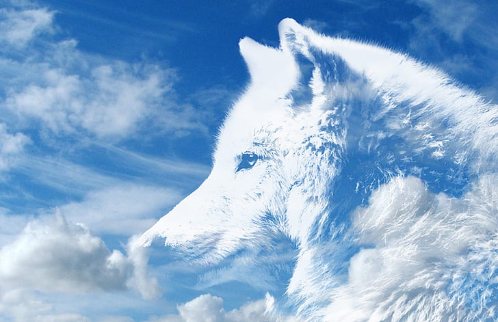 white wolf clouds