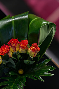 Close-up of little red and yellow roses