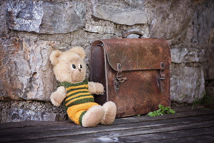 bear plush toy beside brown leather handbag