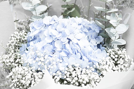 closeup photo of white petaled flowers