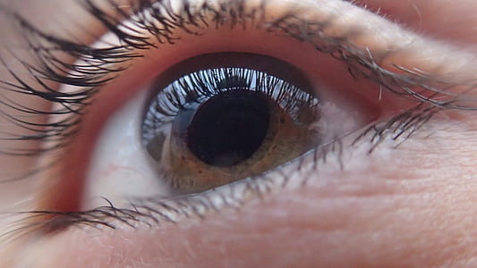 close up photograph human eye