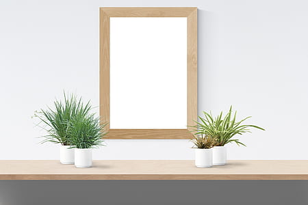 rectangular brown wooden frame wall decor and spider plant
