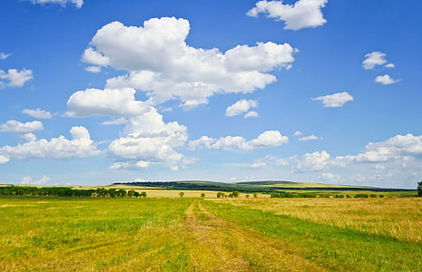 green grassland during daytime