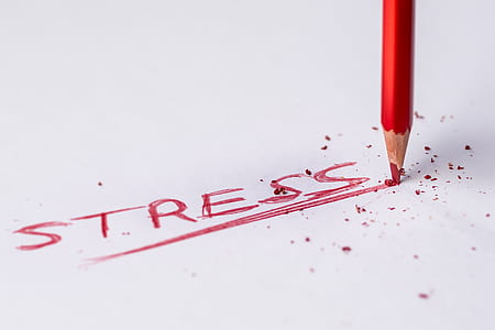 shallow focus photography of red pencil with stress text