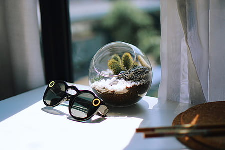 black sunglasses beside open glass terrarium