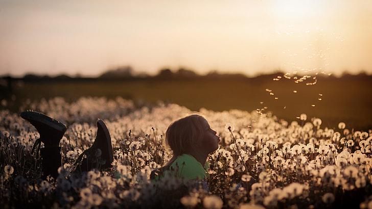 girl in green shirt and Converse sneakers lying on flower field while blowing petals of a Dandelion flower at sunset