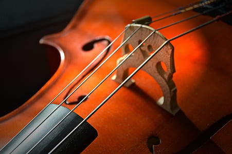 selective focus photography of violin strings