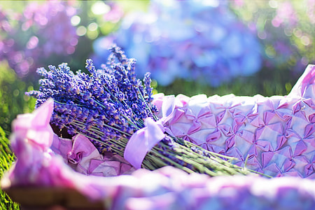 lavender flower bouquet on purple basket