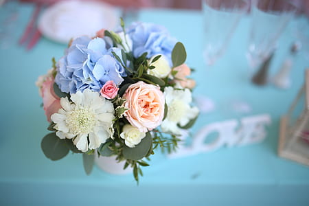 selective focus photography of white scabiosa flower, blue hydrangea flowers, white and pink rose flowers bouquet