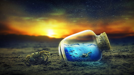 crab beside bottle with sea creatures inside on beach shore