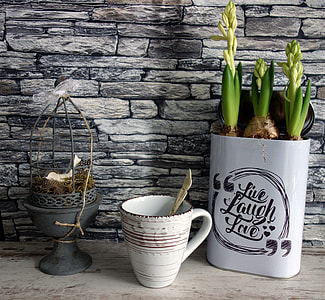 white ceramic mug and green plants
