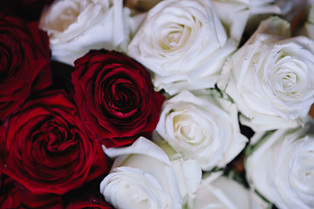 White And Red Roses Bouquet