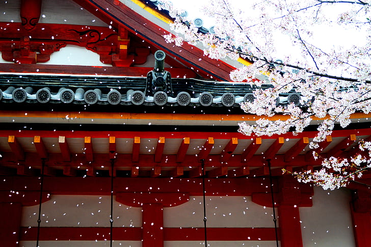 white and red wooden temple near white tree at daytime